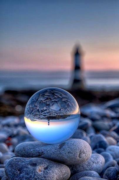 Beautiful capture