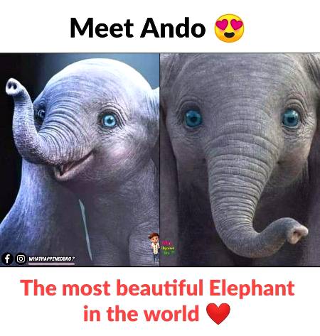 ...😍😍😍...