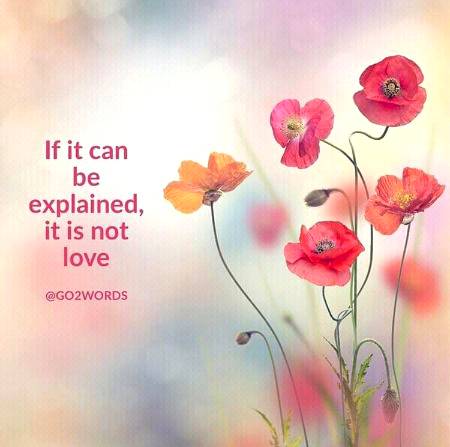 The Complete Definition of Luv.💞