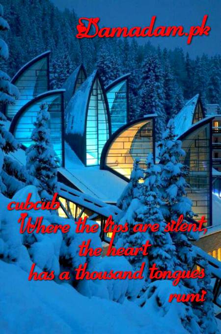 Rumi's words