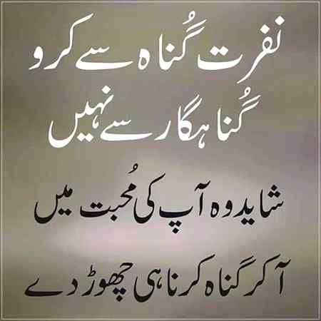 Bilkul 👍