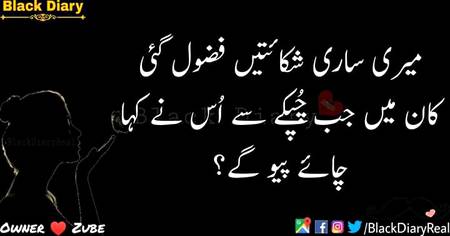 Meri Shikayatein Fazool Gayi
