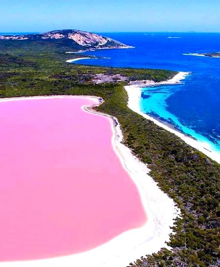 Pink salt lake, western Australia!