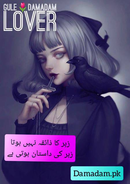gule🌹Damadam Lover🔥