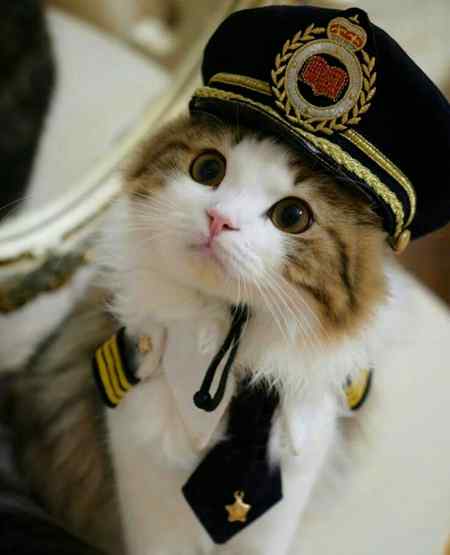 💞💞💞Awww Cute Officer💞💞💞