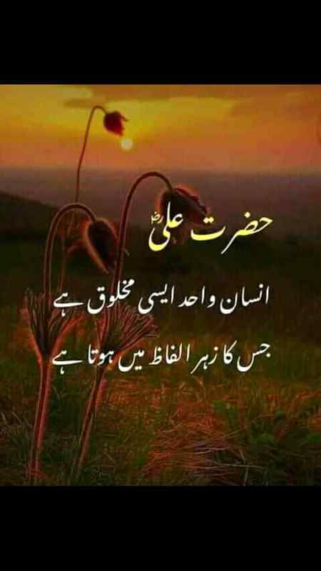 Allah Hafiz Zindagi rhi to bat hogi