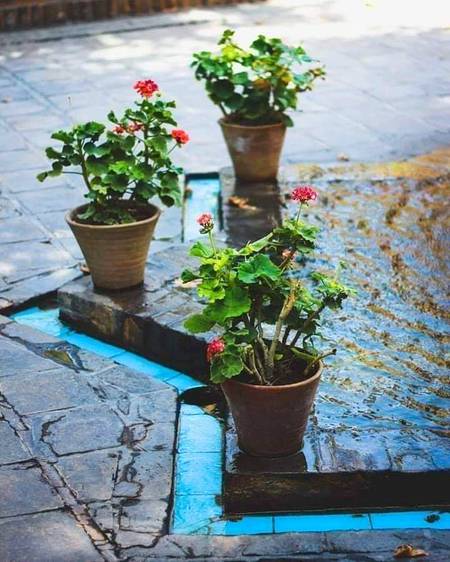 قسمت گوندھی ہوئی مٹی ہے، کوئی اس سے اینٹیں بناتا ہے۔۔ کوئی کوزہ تیار کرتا ہے۔۔ کوئی اس مٹی میں پھول اگاتا ہے