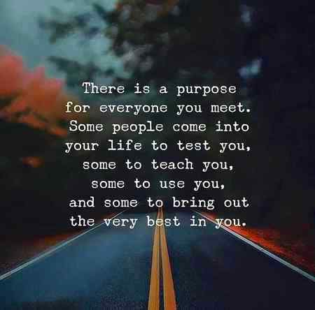 Fact👍🤞🍁🖤