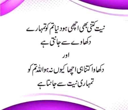 Nehat se janta hai✌