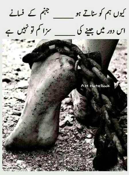 hlo friends
