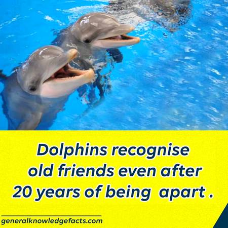 Did you know?