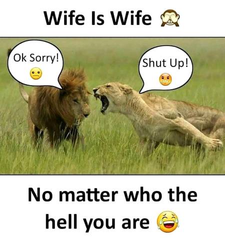 Universal truth...😛😛