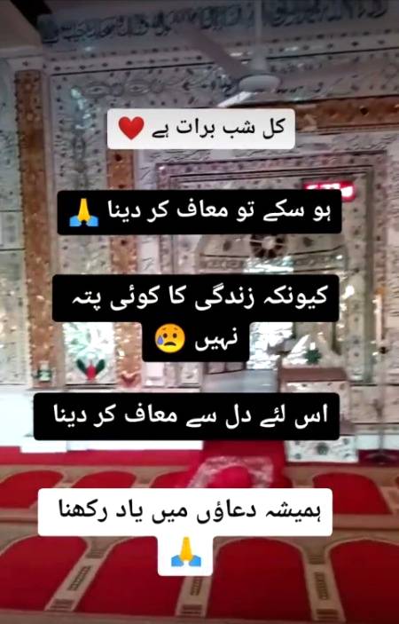 ...🌼🌸🌼🌼🌼🌼...