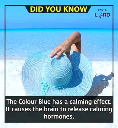 Unbelievable facts 💥💥
