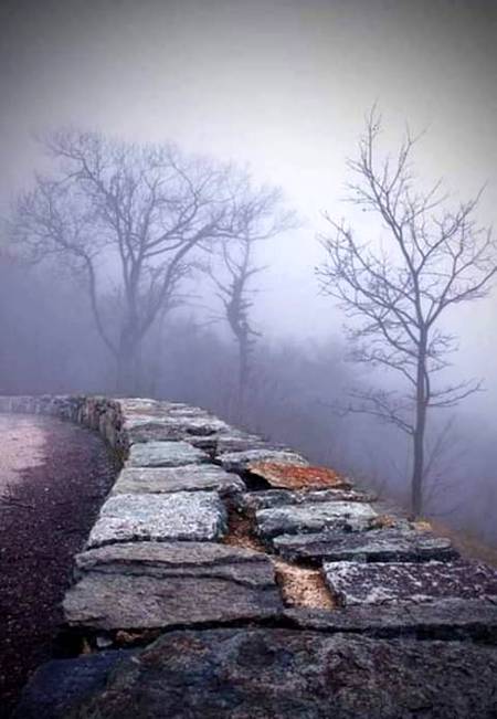 سب خاک تھا.
اک "ع" تھی پھر "ش" تھا
کچھ آگ تھی کچھ راکھ تھی
اک دشت تھا اک بحر تھا صحرا بھی تھا اور پیاس تھی
پھراک خلابے انت سا
اک بند گلی ساراستہ
ویرانیاں' تنہائیاں ۔ پھر "ق"تھا
پھر سارا منظر راکھ تھاسب خاک تھا
 🍁🍁🍂