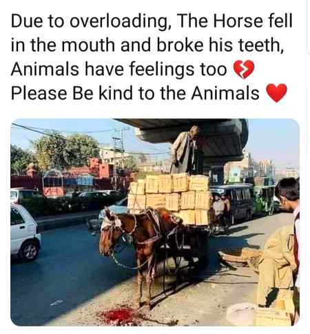 ...💔💔💔😥😥...