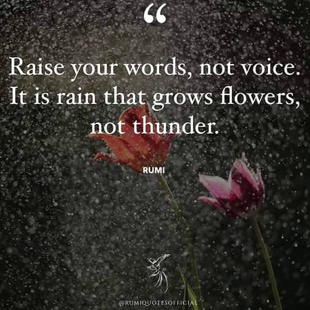 Rumi words...