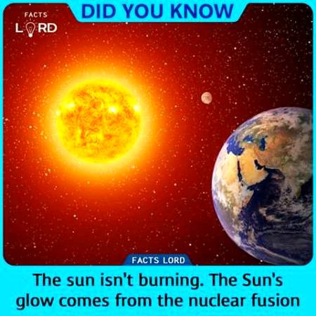 Unbelievable facts 💥💥