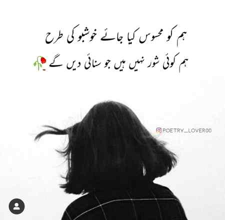 Hum Koe ShOR Nhi.....❤❤