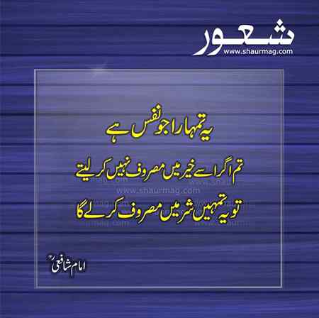 Beshak 👍👍👍👍😱😱😱