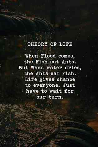 Theory of life..