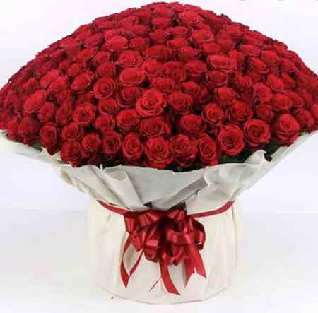 Beautiful flowers for my sweet followers 😃😃😃