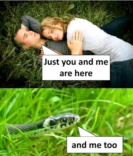 Ab mza aye ga...fu*kin' romantic couples...🙄😑