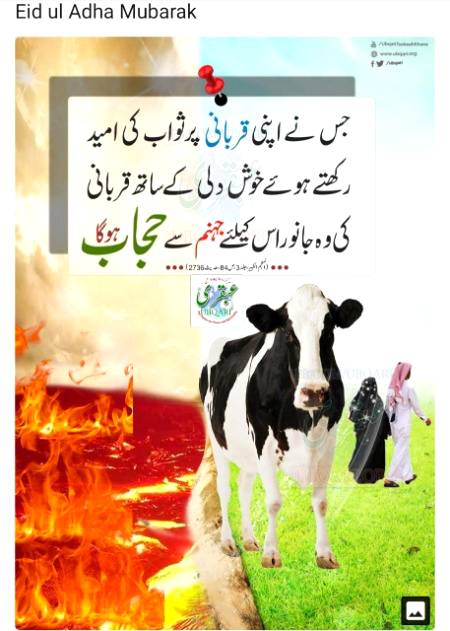 قربانی پر ثواب کی امید