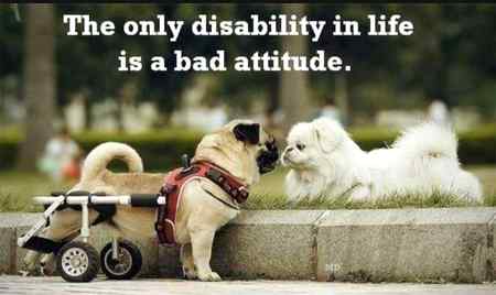 The only disability in life is a bad attitude