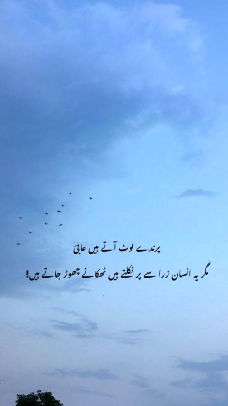 انسانوں سے امید لگاٶ گے تو دل توڑ بیٹھو  گے اللہ سے امید لگاٶ گے تو کامیاب ہو جاؤ گے