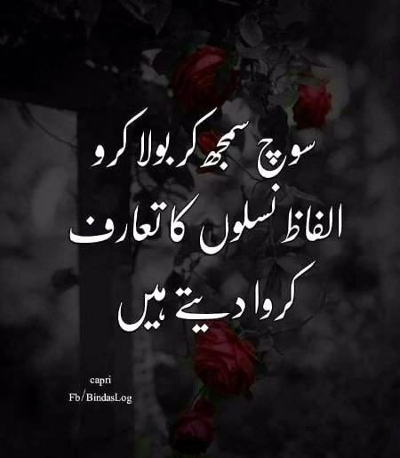 سوچ سمجھ کر بولا کریں.