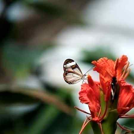 کسی دعا کی طلب , بد دعا کا خوف نہیں
جو پیش آ چکی , اس ابتلا کا خوف نہیں
گراں فروشی,ملاوٹ,وہ بھی وبا کے دنوں
یہ کیسے لوگ ہیں جن کو خدا کا خوف نہیں
