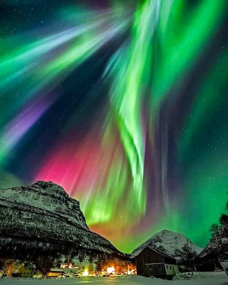 Rejistro dewyany pinkaston newzelAnd