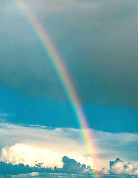After rain...😊