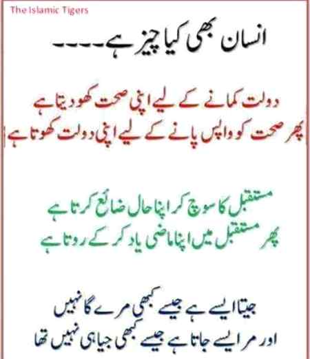 انسان بھی کیا چیز ہے