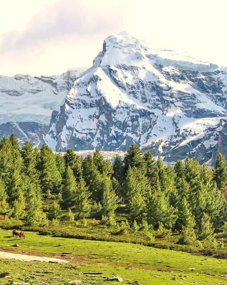 Rakaposhi Niggar Valley😍