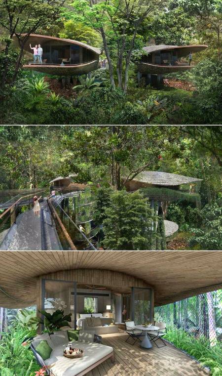 Seed pod_shaped treehouses at new Mandai Resort.....these treehouses will be designed to eliminate barriers between nature and living spaces..