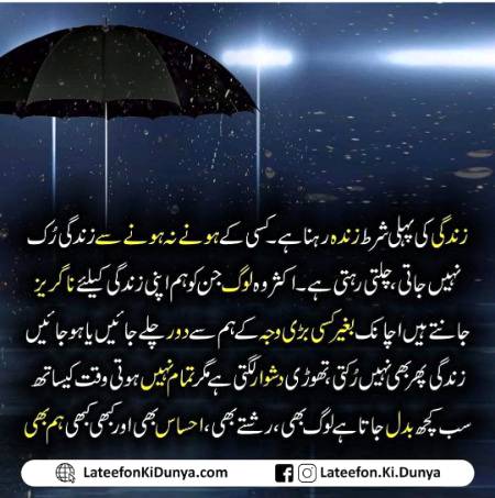 🌻 .🌼 .🌻. 🦋