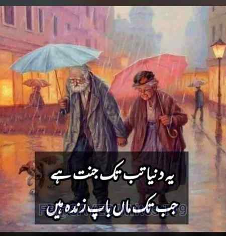 hlo friends
