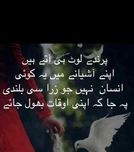 تبسم پڑھ کے چہرے کا تعین ہو نہیں سکتا.
کچھ با ظرف افراد زیر تکلف مسکراتے ہیں.
🍁🍂🍁🍂