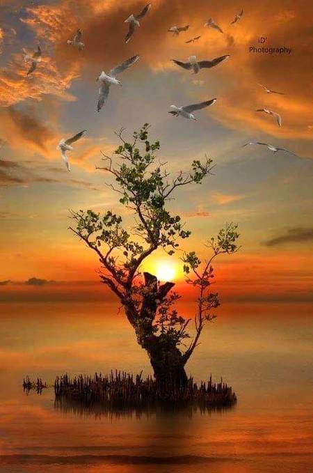 Beautiful photography