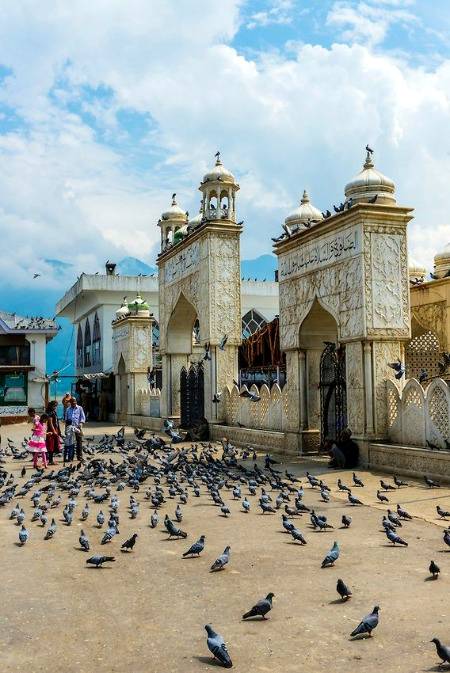 The city of Srinagar has alot of history behind....pigeons at Hazratbal shrine