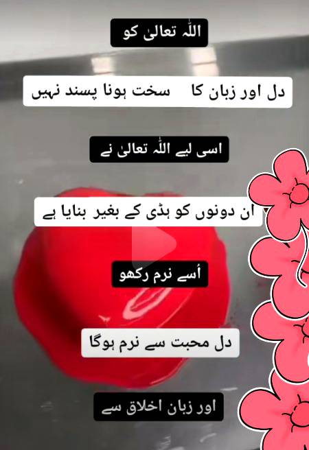 Bilkul 💯💯😇