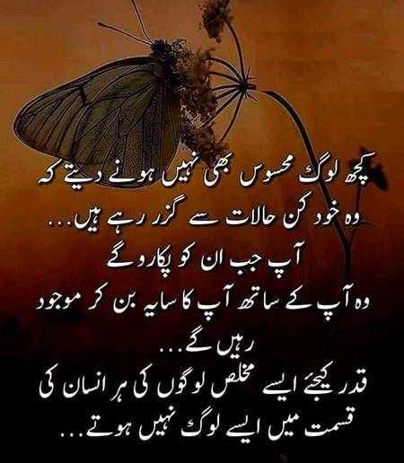 Qader kijea esy logo ki