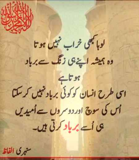 Right lines💚💚
