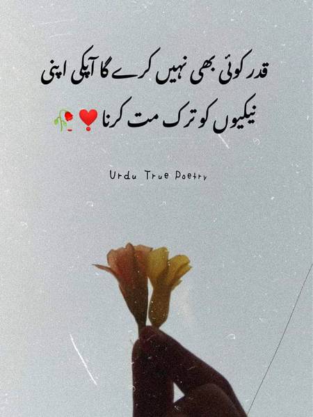 اگر آپ چاہتے ہو کوئی آپ کی پیٹھ پیچھے تعریف کرے تو آپ لوگوں کی مدد کیا کریں ورنہ دنیا سے پردہ  کرنے کے بعد  تعریف بہت ہوتی ہے ❣️