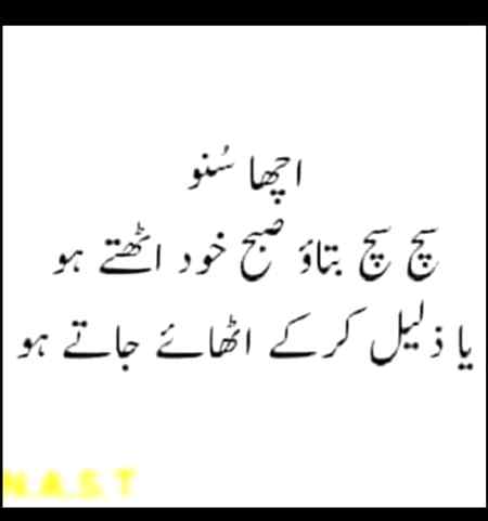 hlo friends