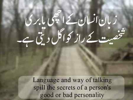 💯💯✔✔✔◀⏪◀◀