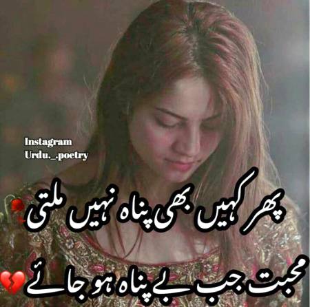 Shah Jee.....😘😍😘😍😘😍😘😍😘