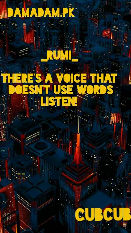 Rumi's words